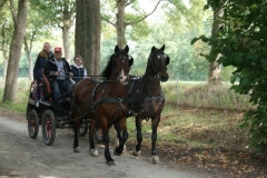 orientierungsfahrt_2018123_20180909_1210605496