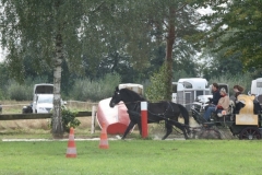 orientierungsfahrt_2018145_20180909_1832997071