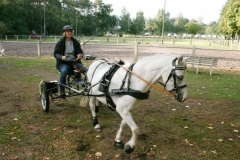 orientierungsfahrt_201825_20180909_1272074885