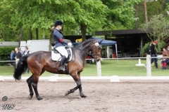 reittunier_201828_20180501_1732563890