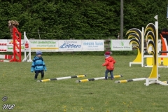 reittunier_201830_20180501_1093613894