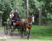2024-O-Fahrt-2024-Bilder-R-MB031