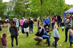 2024-Reitturnier-Sonntag-066