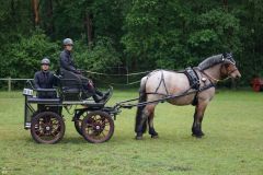 2025-Fahrturnier-WBO-MB-028