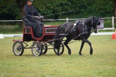 2025-Fahrturnier-WBO-MB-045