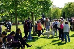 2025-Reitturnier-Samstag-MB-129