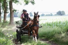 k-Fahrturnier-2017-053