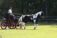 k-Fahrturnier-2017-090