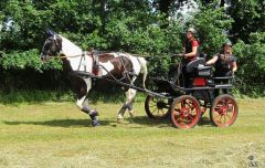 k-Fahrturnier-2017-105