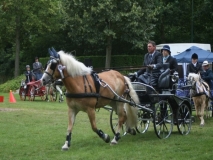 20140717_1777505442_fahrtunier_2014-0063