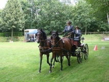20140717_1893294010_fahrtunier_2014-0071