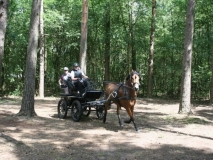 20140717_1901016344_fahrtunier_2014-0078