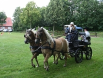 20140717_1950798105_fahrtunier_2014-0070