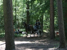 20140717_1998214447_fahrtunier_2014-0083