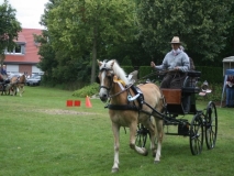 20140717_2050250445_fahrtunier_2014-0069