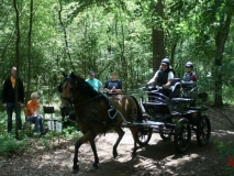 20140717_2063085115_fahrtunier_2014-0077