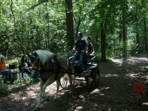 20140717_2069885034_fahrtunier_2014-0079