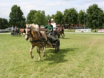 fahrtunier_2014102_20140717_1526707730