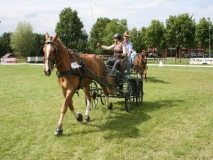 fahrtunier_2014104_20140717_1653953483