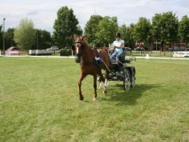fahrtunier_2014105_20140717_1909854518