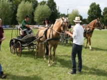 fahrtunier_2014109_20140717_1980878973