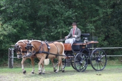 fahrtunier_201416_20140717_1357804167
