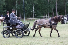 fahrtunier_201417_20140717_1482873994