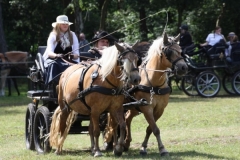 fahrtunier_201421_20140717_1005289996