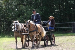 fahrtunier_201422_20140717_1985278264