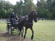 fahrtunier_201435_20140717_1093718160