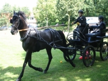 fahrtunier_201441_20140717_1048239121