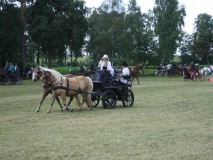 fahrtunier_201446_20140717_1882313537