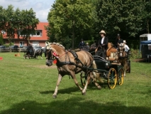 fahrtunier_201456_20140717_1188689510