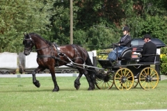 fahrtunier_20147_20140717_1356035796
