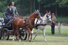 fahrtunier_201559_20150627_2016835250