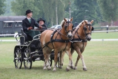 fahrtunier_201564_20150627_1551151914