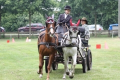 fahrtunier_201566_20150627_1743397422