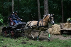 fahrtunier_2016150_20160627_1511063484