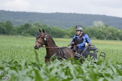 fahrtunier_201651_20160627_1578067455