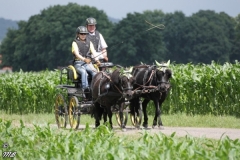 fahrtunier_201653_20160627_1362189371