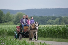 fahrtunier_201654_20160627_1434851203