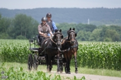 fahrtunier_201655_20160627_1603838230