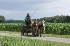 fahrtunier_201656_20160627_1110244912