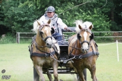20180618_1714108139_fahrtunier_2018_mb_080