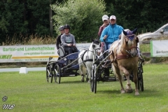 20180618_1840106444_fahrtunier_2018_mb_095