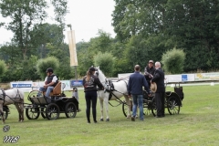 20180618_1879532088_fahrtunier_2018_mb_092