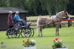 20180618_1991904438_fahrtunier_2018_mb_084