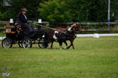 Fahrtunier-2019-MB-049