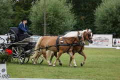 Fahrtunier-2019-MB-050