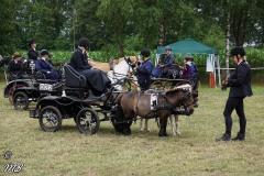 Fahrtunier-2019-MB-051